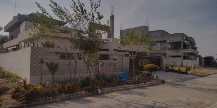 Untitled design (39)