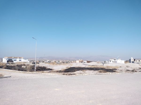 WhatsApp Image 2026-02-07 at 1.41.24 PM