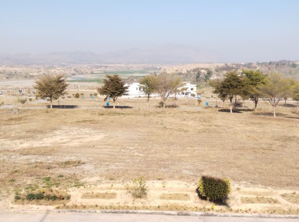 WhatsApp Image 2026-02-07 at 2.18.22 PM