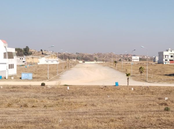 WhatsApp Image 2026-02-13 at 2.28.32 PM