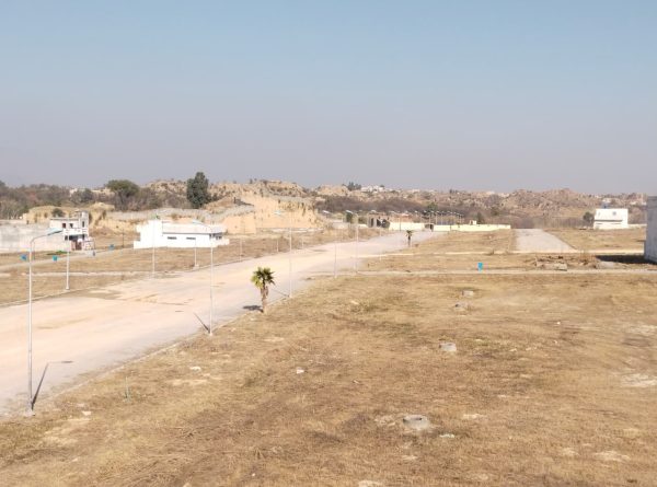 WhatsApp Image 2026-02-13 at 2.28.39 PM